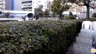 浙江东方股票嫩嫩的有喜欢的吗？
